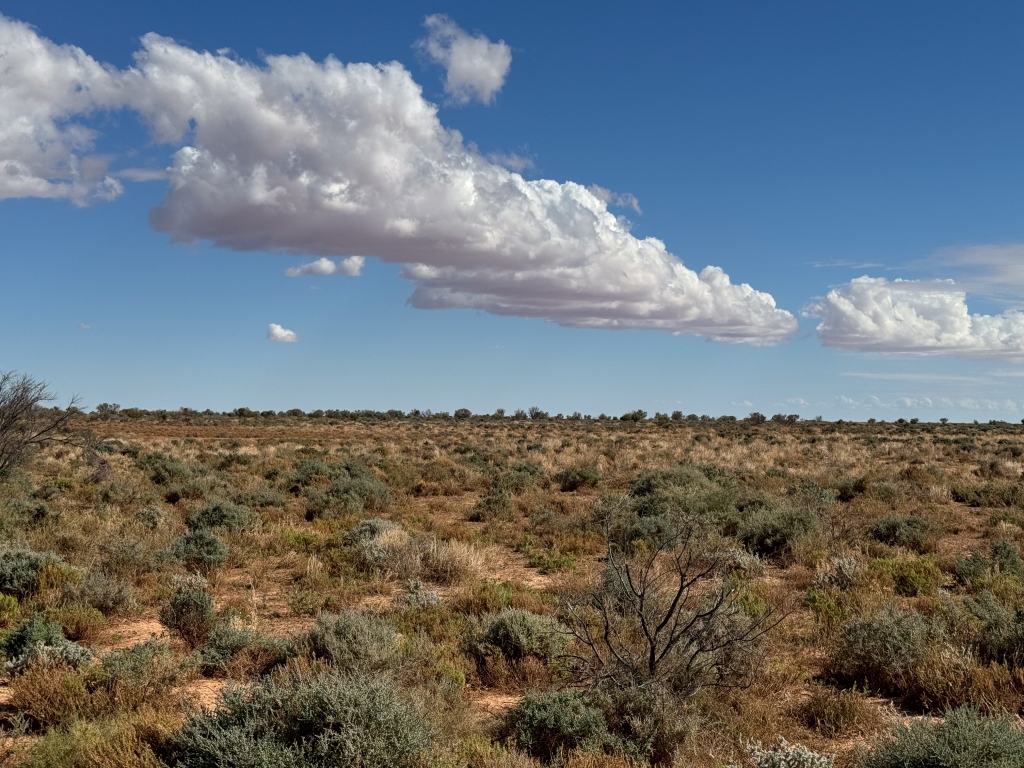 Cloud street over flat country between Flinders Ranges and Lake Torrens