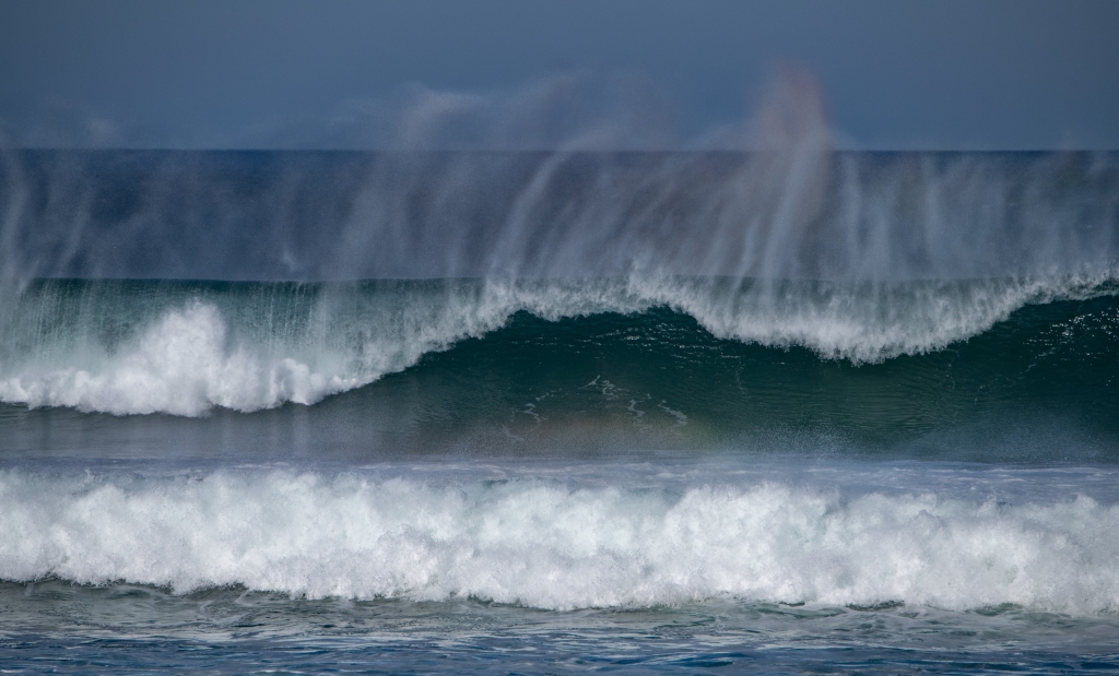 Breaking wave with spray in strong wind